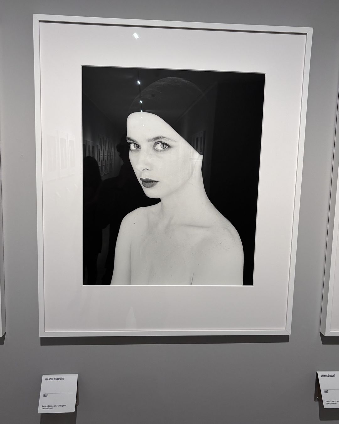 Mapplethorpe in Ara Pacis, photo 2